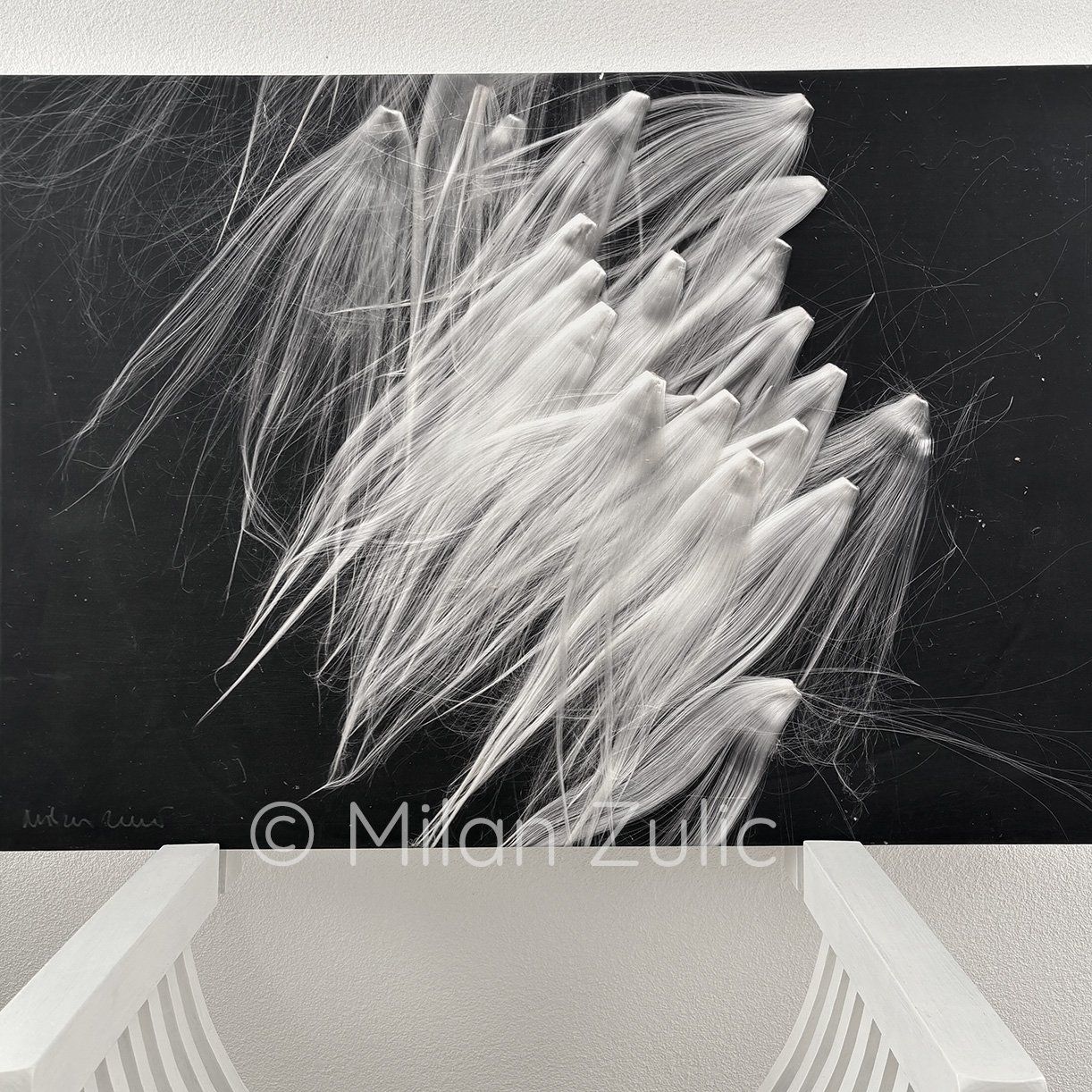 Foto & Immagini: Milan Zulic ~22 – Nuovo (secondo la descrizione) da Uetikon am See venduto da mil_7k2b 2