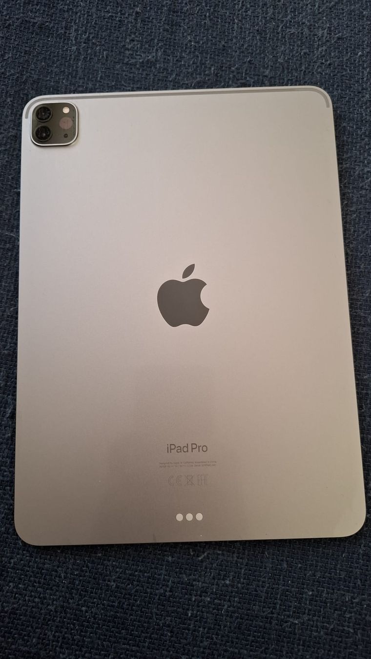 Apple Tablet PC: ipad 11 pro 4.gen – Usato da Luzern venduto da ziyaince40