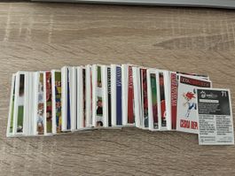 Panini EM 2008 Lot 300x Bilder ohne Doppelte