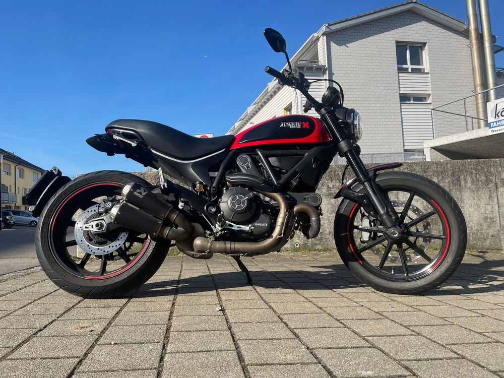 ducati scrambler 803 icon