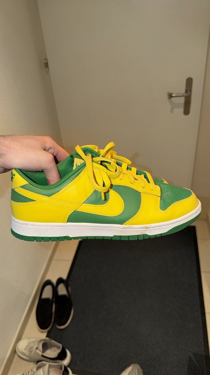 Herrenschuhe: Nike Dunk 44 – Gebraucht aus Birr von King2607