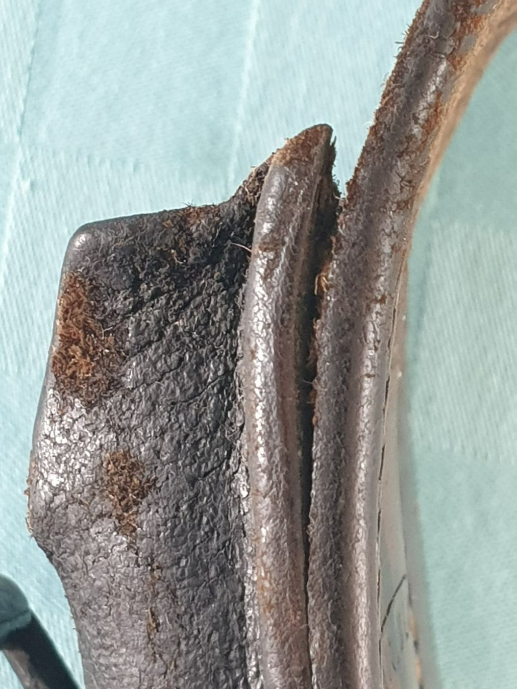 Schweizer Armee Armi bianche: Schweizer Bajonettfrosch 1893 CHR. Blaser Bern Original – Usato da Mörschwil venduto da spirspi 8