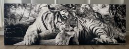 Leinwandbild Tiger schwarz-weiss