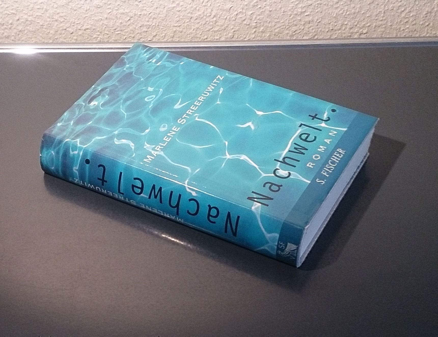 Livres: Nachwelt.: Ein Reisebericht – D'occasion à Dübendorf par Povo 1