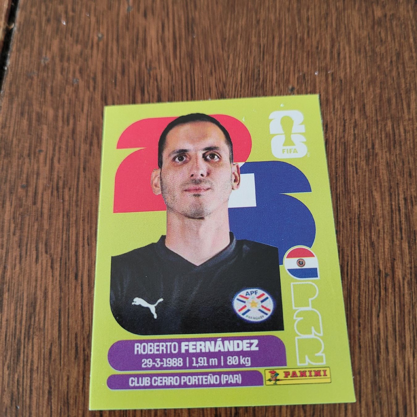 Panini Carte collezionabili: Panini26 Roberto Fernandez – Nuovo (secondo la descrizione) da Winterthur venduto da Flomal