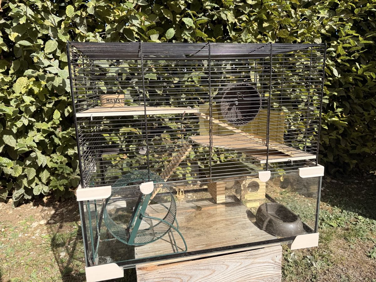 Gabbie, trasporto & Sicurezza: Cage pour rongeur avec accessoires – Usato da Fleurier venduto da Joey.prl14 2