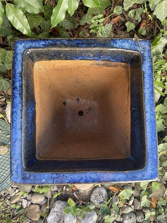 Blumentöpfe: Blauer, frostfester Tontopf – Gebraucht aus Aeugst am Albis von mia_7p89 1