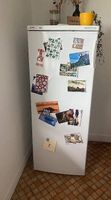 Kühlschrank mit Gefrierfach, FUST Novomatic KS 227