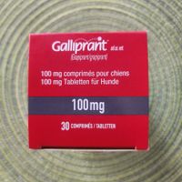 Galliprant 100 mg für Hunde