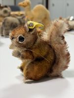 Steiff Eichhörnchen Perri Disney Prod. Sammlerstueck Vintag
