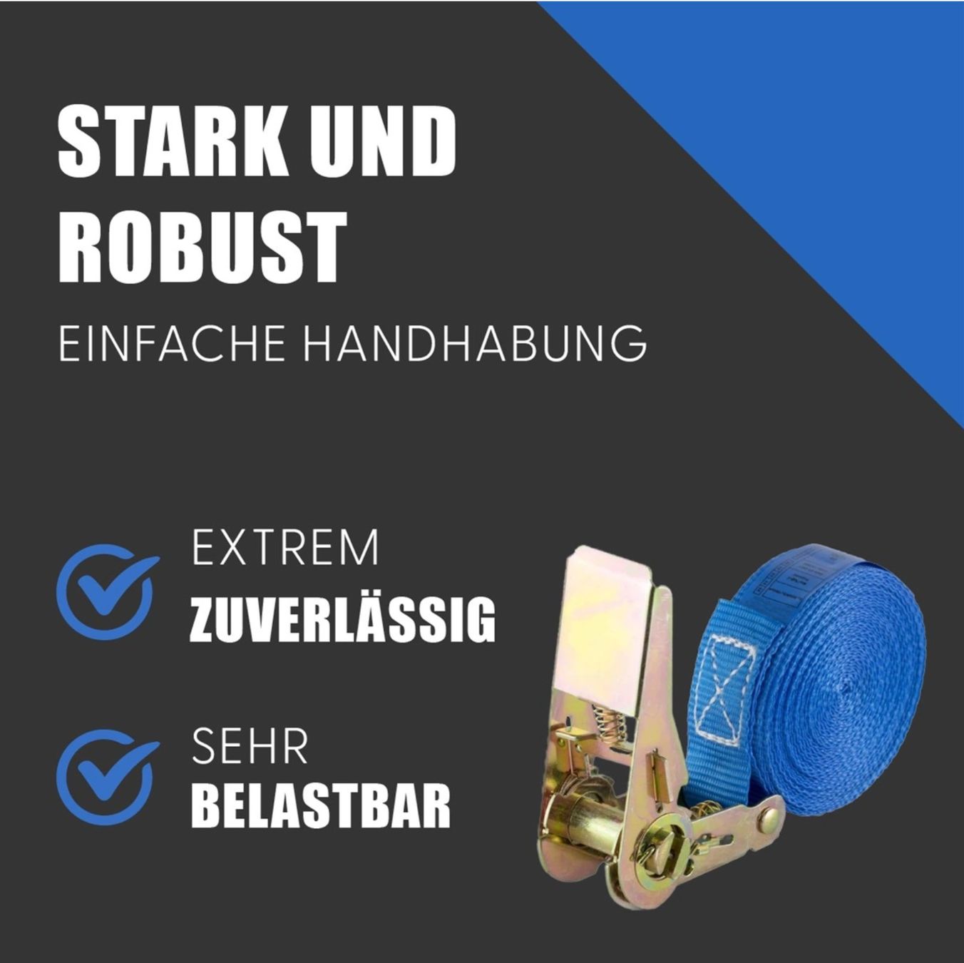 Tutti gli attrezzi: Spanngurt 800 kg 25 mm x 6 m einteilig blau – Nuovo e nell'imballaggio originale da Bülach venduto da StoreInShop.com 4