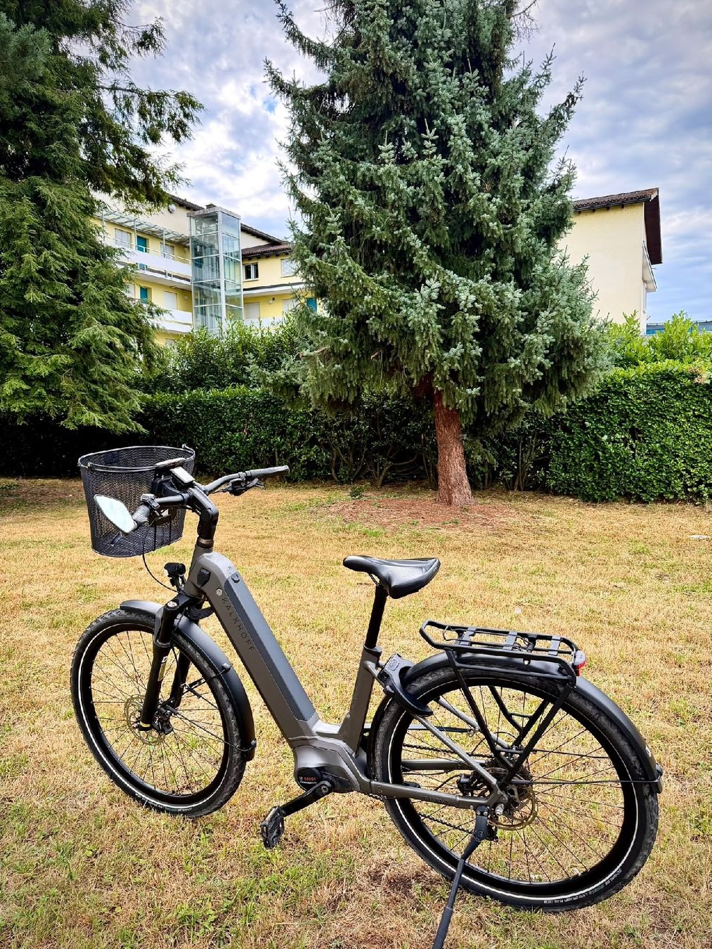 Vélos: Kalkhoff E-Bike(Gr. S / 43) Bosch Smart System – D'occasion à Zug par abv_9t5d 1