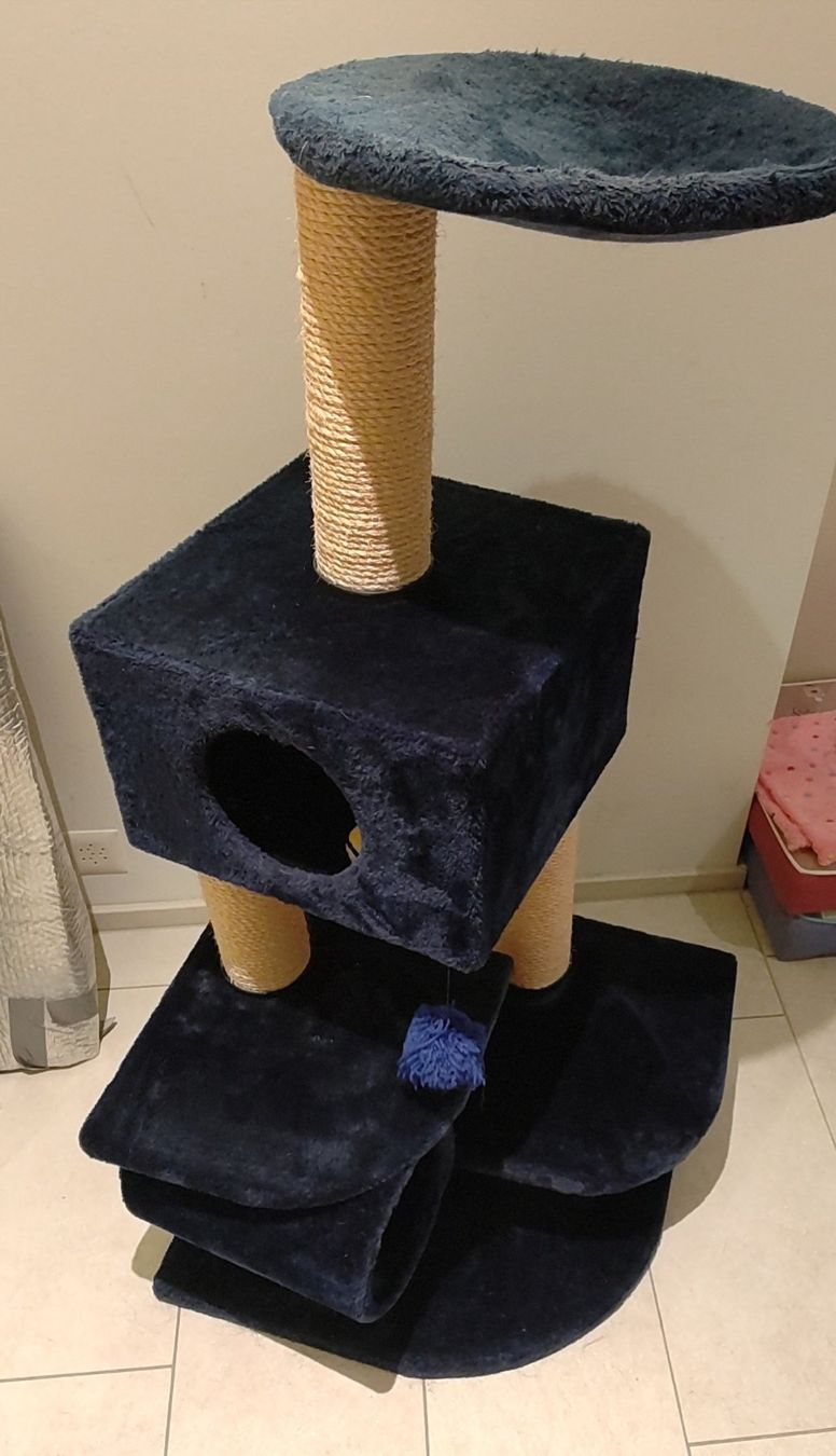 Tiragraffi: Kratzbaum blau für Katzen – Usato da Hünenberg See venduto da ElijahB.