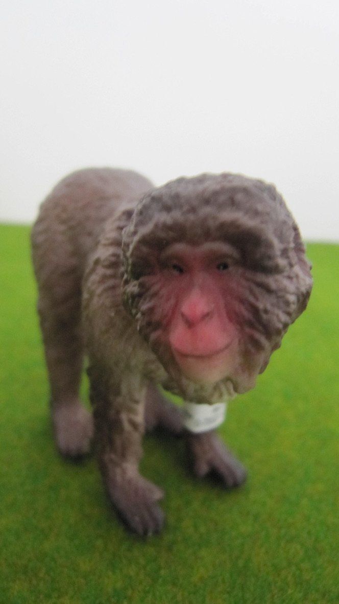Schleich Jouets: Schleich Affen,  ( Schimpansen + Makake ) – Neuf (Voir description) à Brunnen par Kiwiland1 3