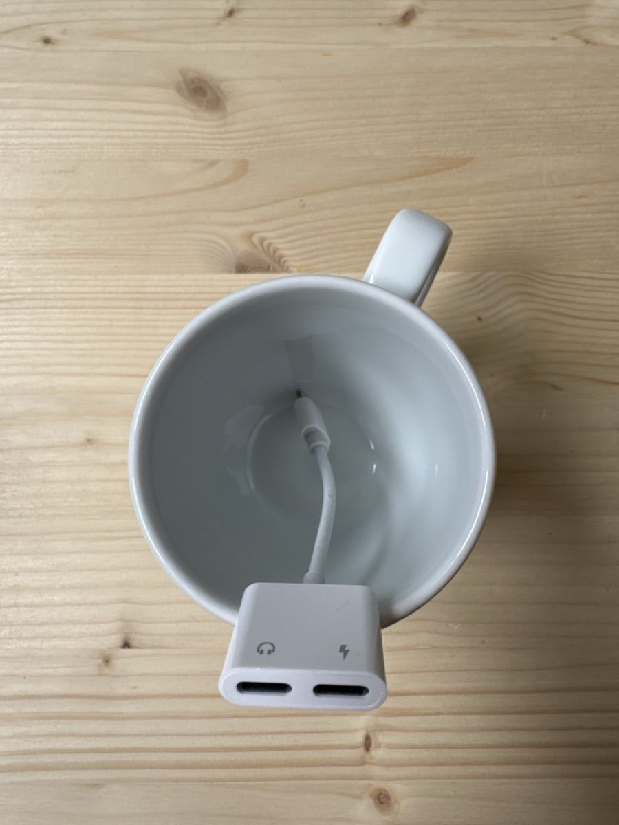 Unità & Adattatore: iPhone Adapter Lightning – Usato da Ebnat-Kappel venduto da Elegant 4