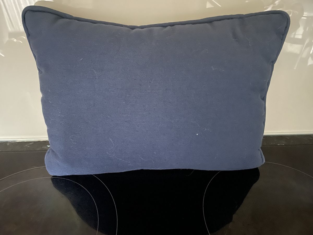 Cuscini: Decorative throw Pillow – Nuovo (secondo la descrizione) da Buttikon SZ venduto da trzurigo 1