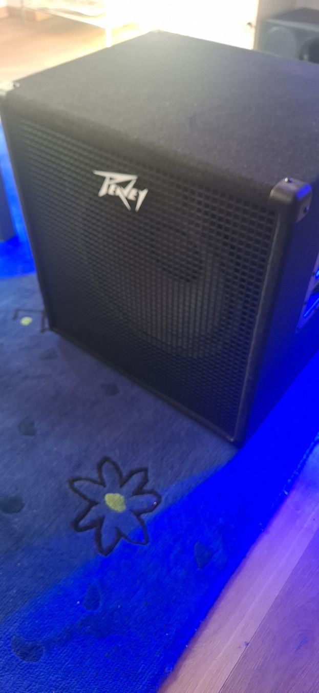 Peavey Lautsprecher: PEAVEY Bass Box neu. – Neu und originalverpackt aus Rothenfluh von die_dz2s