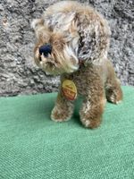 Steiff Hund Raudi 4190/17 Plüschtier mit Knopf Zustand gut