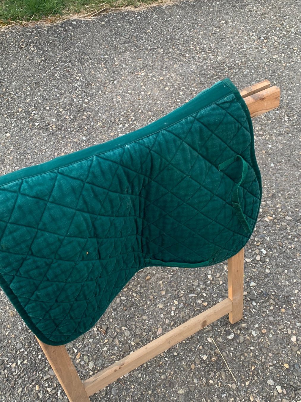 Selles, accessoires: Tapis de selle – D'occasion à Lamboing par pet_djp8 2