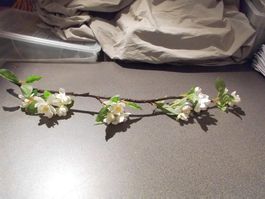 Ast mit weissen Blumen