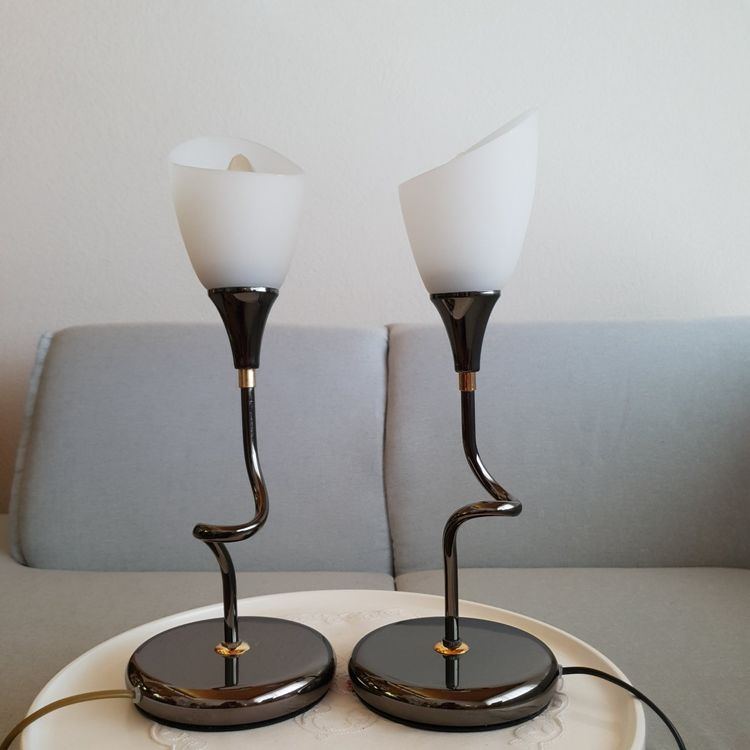 70er / 2 Design Tulpenlampe aus Metall un mattierte Glas Kaufen auf