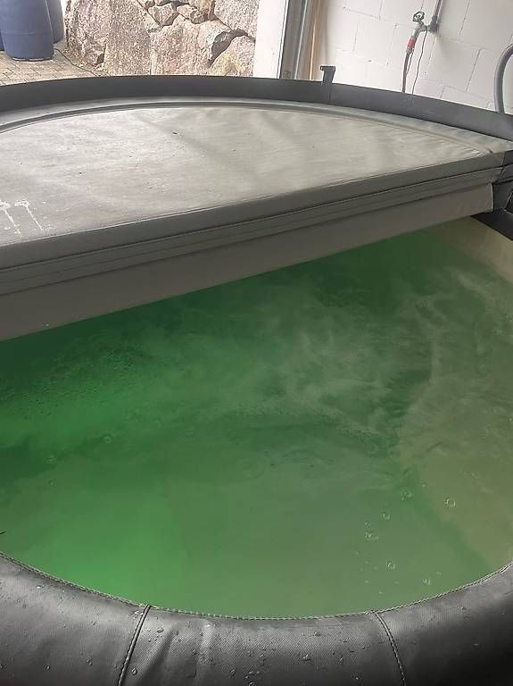 Softub Whirlpool: Softub Poseidon mit Powerdüse 2022 mit Garantie – Usato da Schongau venduto da CactusSoftSider 2