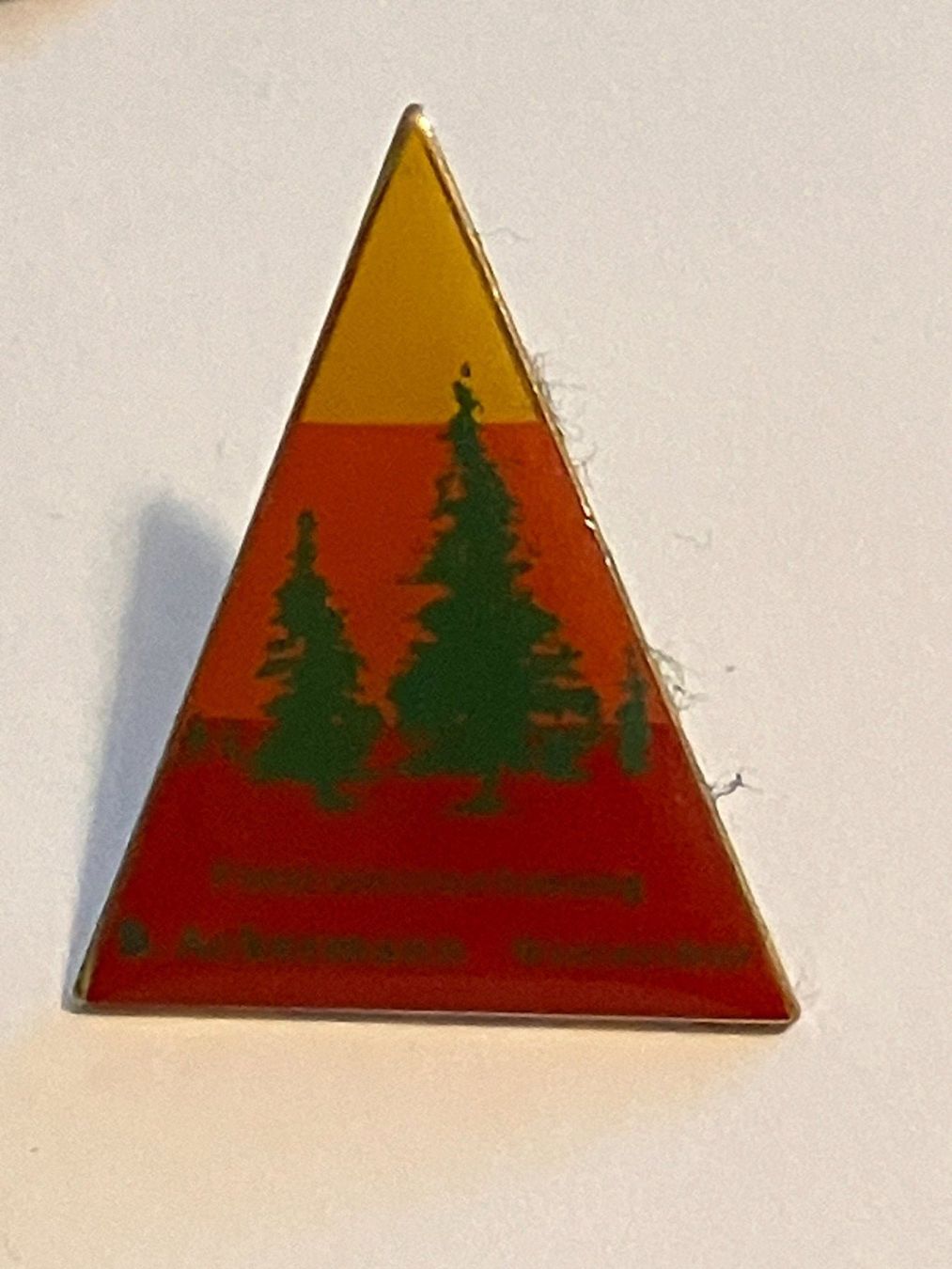 Placchette & Badge: 1 Pin B. Ackermann Forstunternehmung Winterthur – Usato da Basel venduto da djwwpp