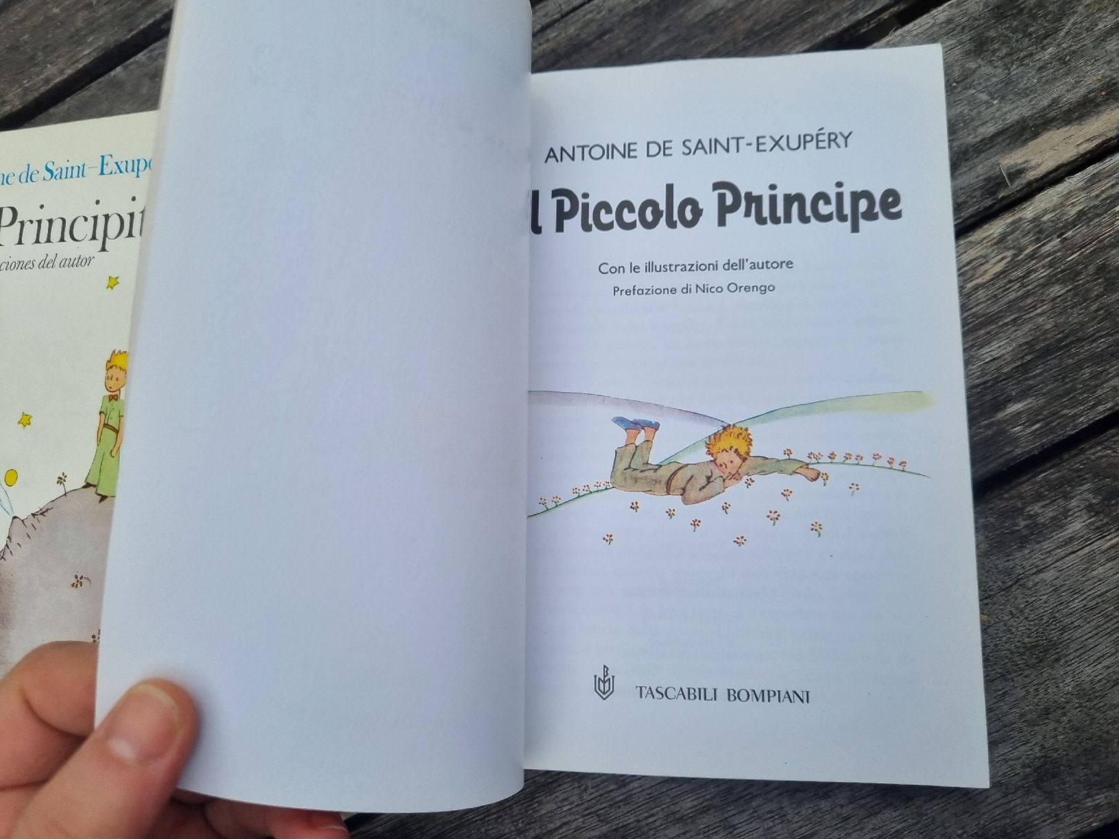 Libri: Il Piccolo Principe, Antoine de Saint-Exupé – Usato da Fribourg venduto da sal_5ln6 5