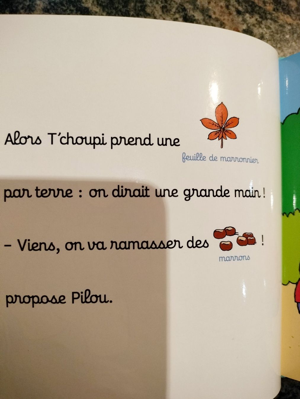 Libri: T'choupi au square dès 2ans – Usato da Cortaillod venduto da rozinna 8