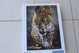 Puzzle  Clementoni - 1000 pièces - Super Tigre