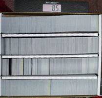 8.5 kg Pokémon Karten Bulk/ex/V Englisch