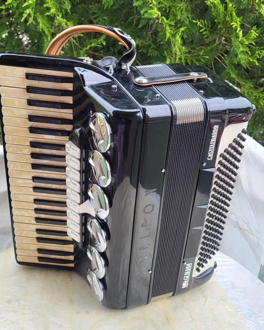 Musikinstrumente: Accordéon Welson Castelfidardo – Gebraucht aus Penthalaz von EvandroLuz 2