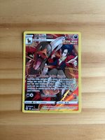 Houndoom #TG10 Pokemon Brilliant Stars