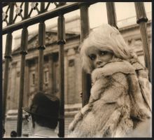 Fotografie Schauspielerin Mireille Darc 