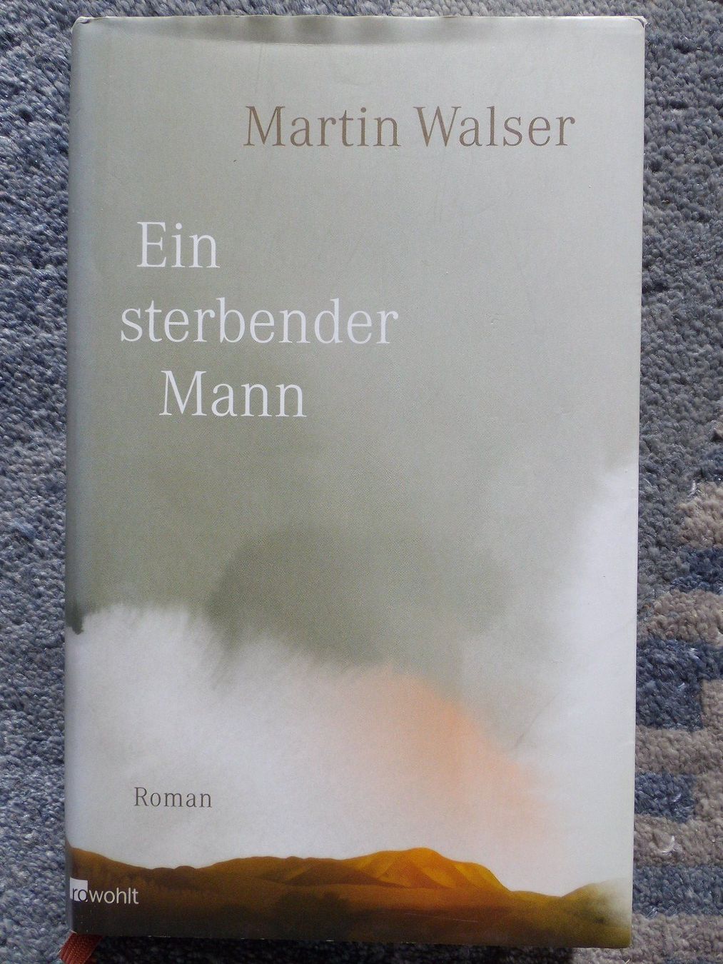 Livres: Martin Walser: Ein sterbender Mann – D'occasion à Uster par urs_75by
