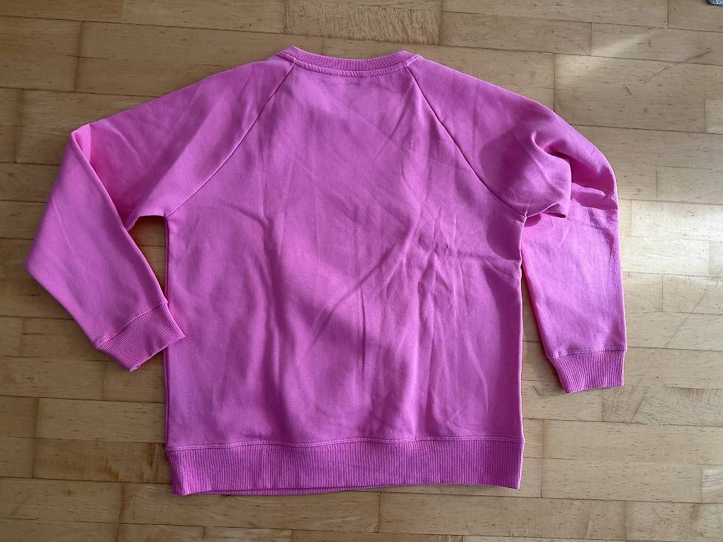 Maglioni & Felpe: Mädchen - Damen Pullover / Sweatshirt Gr.  M (ACTIVE Tchibo) – Nuovo (secondo la descrizione) da Häggenschwil venduto da lae_zd25 1