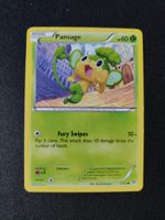 Pansage 5/162 Pokémon XY Breakthrough 2015 (EN) ab 1.-