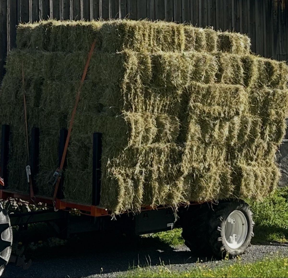 Rimorchi: Chassis Wagen – Usato da Filzbach venduto da kus_7fzz