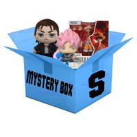 Anime Figuren & Merchandise Mystery Box (S)