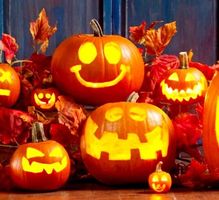 Ab 5.- fr 5 Samen Halloween Kürbis Citrouille Zucca Pumpkin