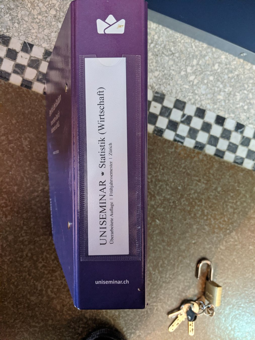 Raccoglitori: UniSeminar Statistik (Wirtschaft) – Usato da Flawil venduto da rcnkr