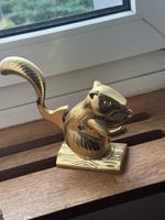 Nussknacker eine Eichhörnchen 🐿️