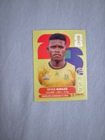 Panini Sticker RSA 14, Südafrika WM 2026