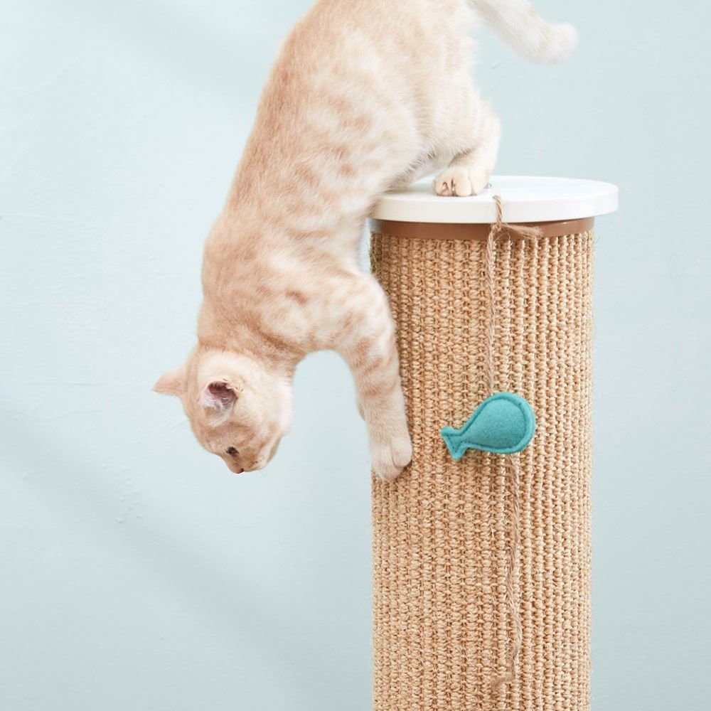 Katzenbaum - Kratzbaum: CatS Design Kratzbaum Kratzstamm G – Neu und originalverpackt aus Mönchengladbach von Zoopplier 4
