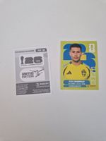 Panini Sticker SWE16