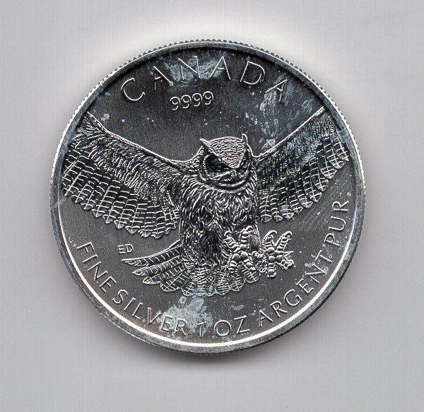 Tutti le monete: (420) Kanada,  1 Unze Silber, 2015, 5 Dollar, Eule – Usato da Rüthi (Rheintal) venduto da erdnuessli1