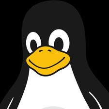 Profile image of ducksoup