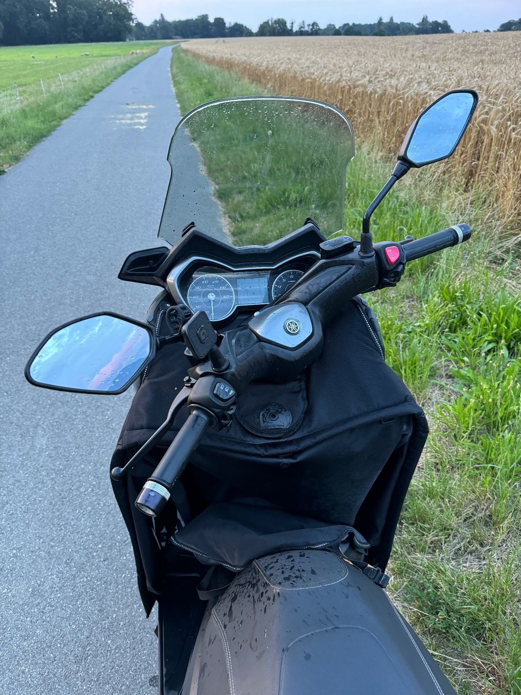 Yamaha Scooter: Yamaha Xmax 300 Tech Max – Usato da Anières venduto da tob_nd9x 7