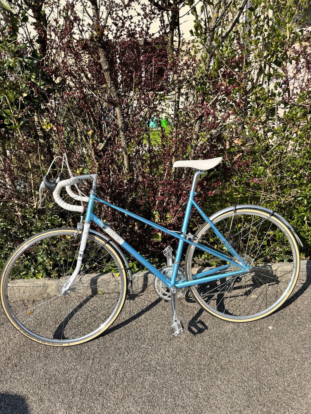 Biciclette: City Renner – Usato da Port venduto da Ellebasisch