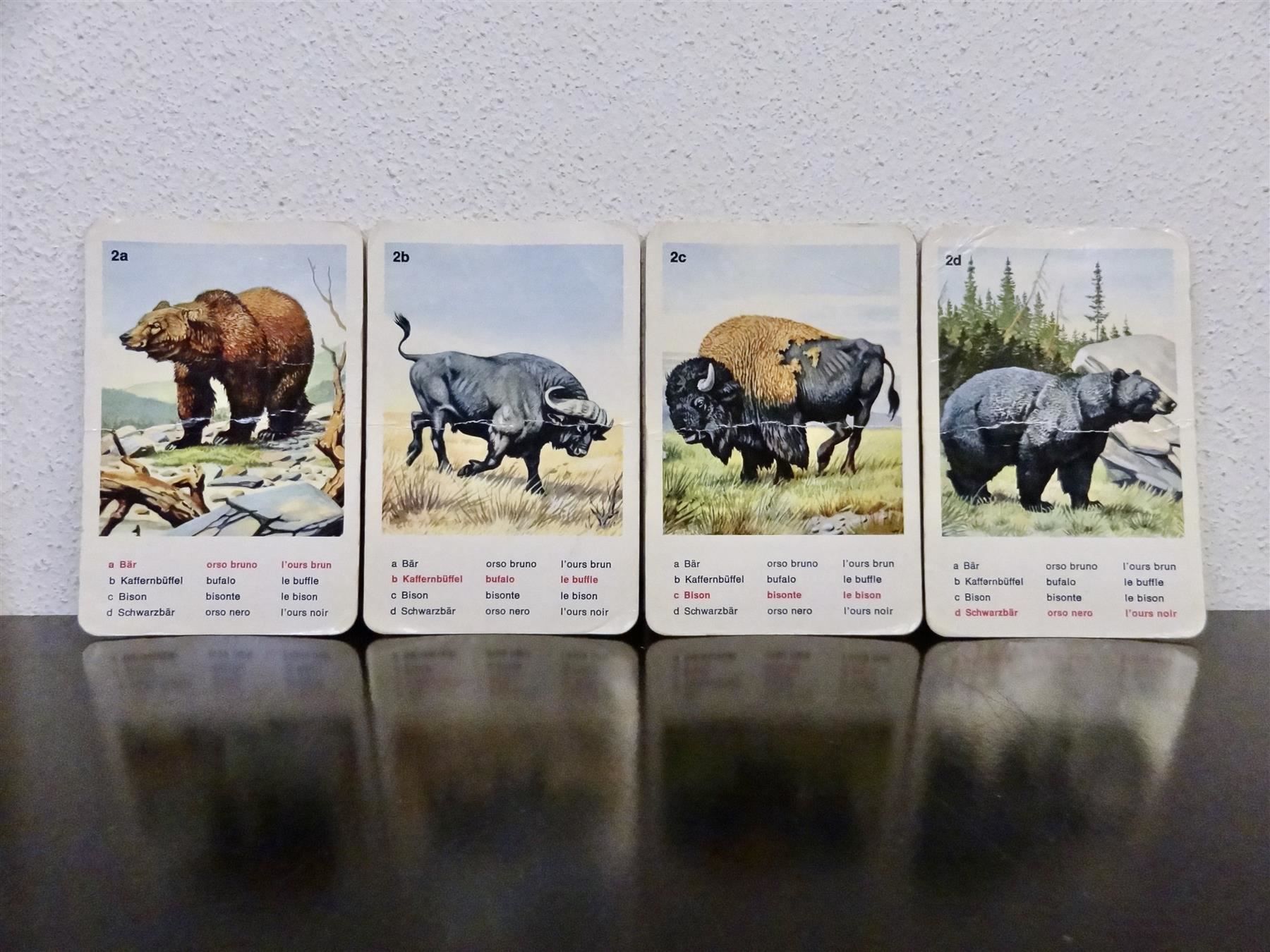 Ravensburger Spiele: schönes altes Quartett TIERWELT – Gebraucht aus Kerzers von wisaundso 4